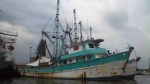 Shrimper fleet in Madero