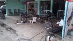 Motorcycle repair shop