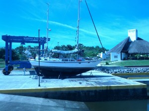 IMG_20141129_114528[1]